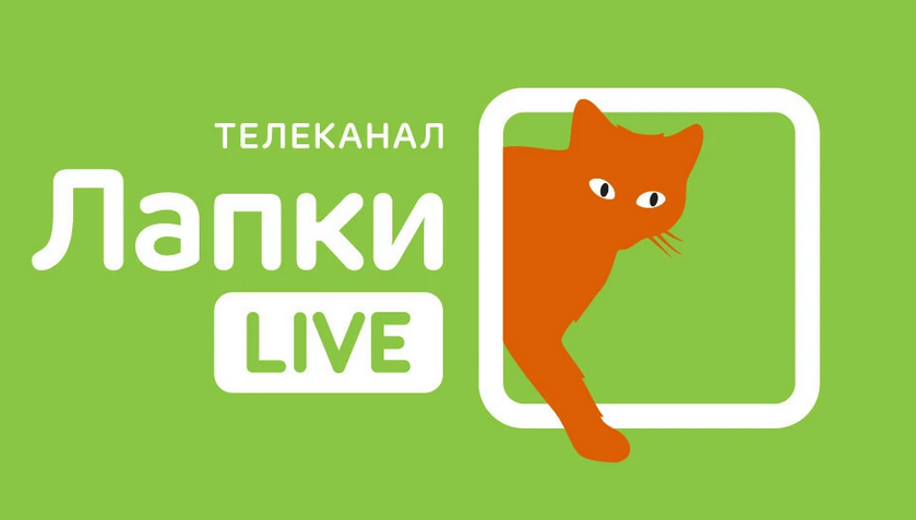 канал лапки live