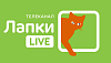 Новый телеканал «Лапки Live» в сетке вещания АО «Химки-СМИ»